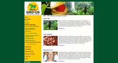 Desktop Screenshot of gno-us.com